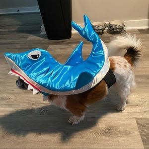 Shark Dog Costume